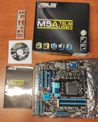 Scheda madre ASUS M5A 78L-M USB3