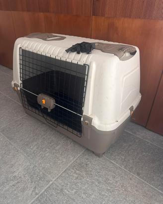 Gabbia cani