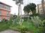 Immagine 23