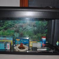 Acquario con lato sinistro tondeggiante