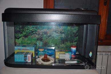 Acquario con lato sinistro tondeggiante