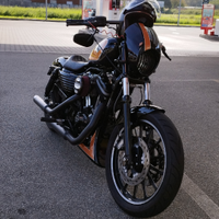 Harley Davidson sposter r 1200 anno 2006