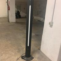 Piantana nera con neon o lampadina