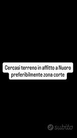 Terre