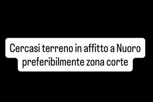 Terre