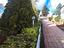 Immagine 24