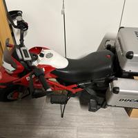 Peg Perego- Moto Ducati Enduro, IGMC0023