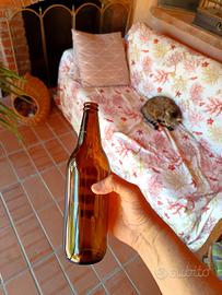 Bottiglie per birra