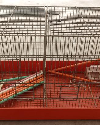 Gabbia uccelli