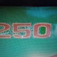 OSSA trail 250