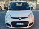 fiat-panda-1-0-firefly-s-s-hybrid-easy