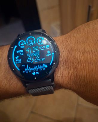 garmin venus 