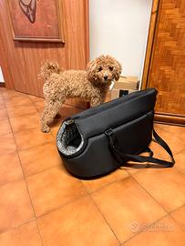 Borsa per barboncino Toy