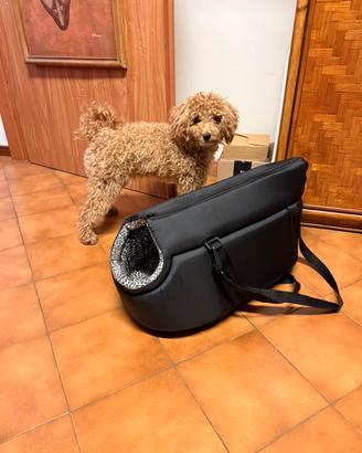 Borsa per barboncino Toy