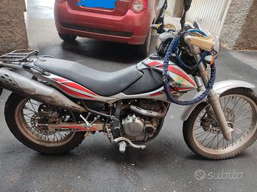 Beta Alp 4.0 del 2006