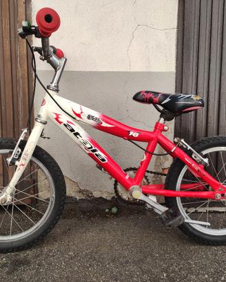 bicicletta raggio 16