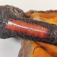 Pipa LORD HAMILTON London rusticata