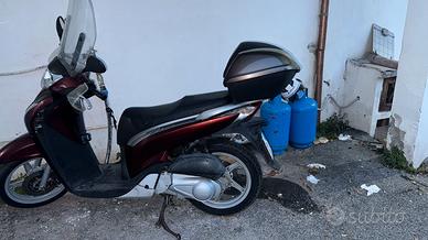 Sh 150 Bordeaux