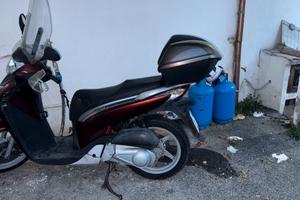 Sh 150 Bordeaux
