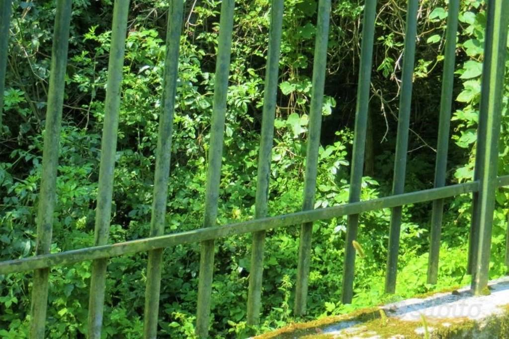 Immobile in asta di 14980 m² a Valgreghentino - Vista 2