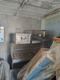 gabbie 55 e batterie 