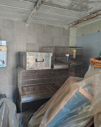 gabbie 55 e batterie 