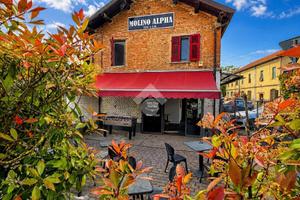ATTIVITÀ A TORTONA