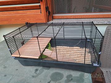 Gabbia per criceti come nuova