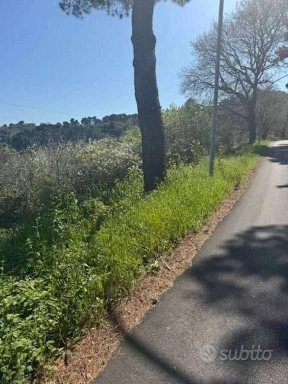 Immobile in asta di 6965 m² a Montesilvano - Vista 3