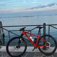 Mtb KTM Myroom full carbon taglia L