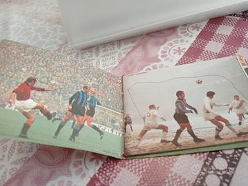 calendarietto panini
