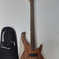 Basso elettrico passivo PEAVEY GRIND BXP