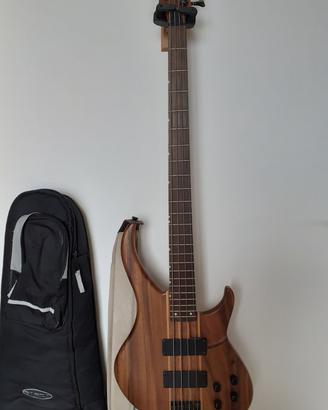 Basso elettrico passivo PEAVEY GRIND BXP