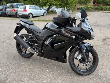 Kawasaki Ninja 250