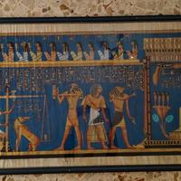 papiro acquistato in Egitto con cornoce