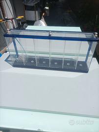 Acquario in plexiglass per la vendere di pesci.