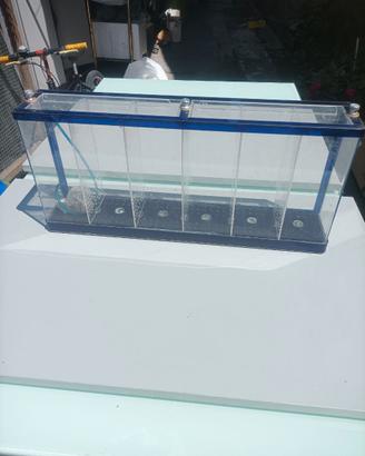 Acquario in plexiglass per la vendere di pesci.