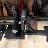 sissy squat come nuovo