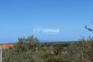 STRADA VICINALE BADDE FUSTIGGIU