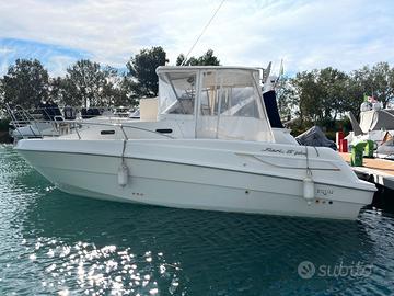 Fiart 25 Fishing con Volvo Penta