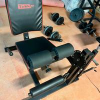 Leg extension/curl Tekk fit