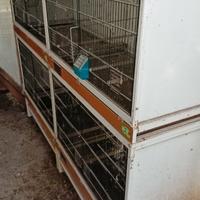 gabbie professionali per uccelli