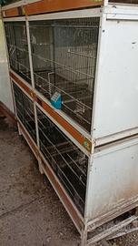 gabbie professionali per uccelli