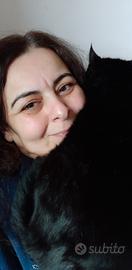 pulizie domestiche 
