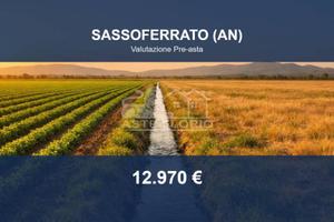 Immobile in asta di 73941 m² a Sassoferrato