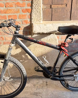 Bici mountain bike