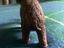 Immagine 5