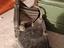 Immagine 2
