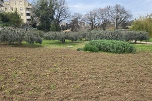 Terreno più piccolo Casetta più capannone