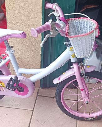 Bicicletta 16